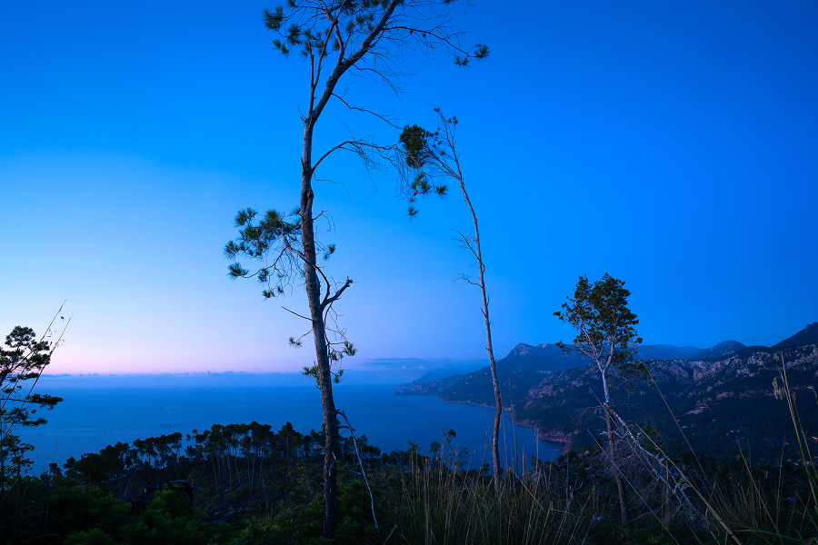 Photography by Agustin Federovisky